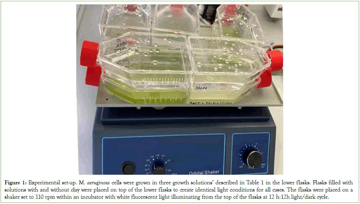 Microbial-Biochemical-conditions