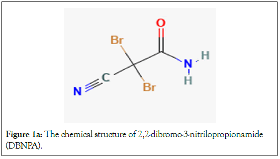 Microbial-Biochemical-structure