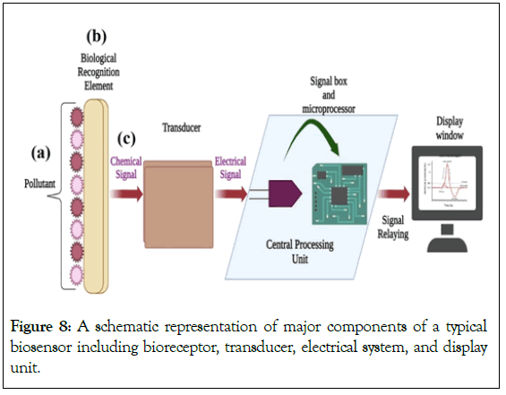 Microbial-Biochemical-transducer