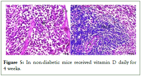 Microbial-Biochemical-vitamin