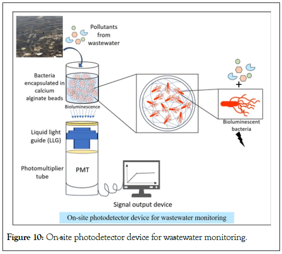 Microbial-Biochemical-wastewater