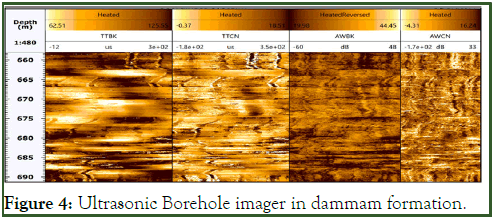 Petroleum-Biotechnology-Borehole