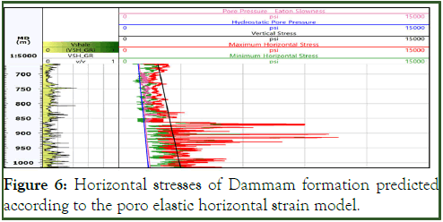 Petroleum-Biotechnology-strain