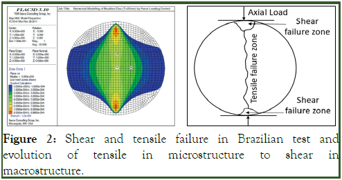 Petroleum-Biotechnology-tensile