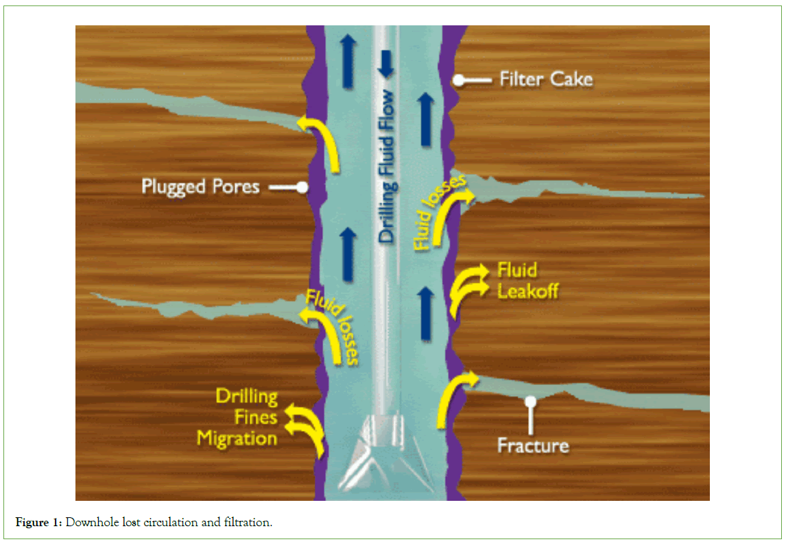 Petroleum-Downhole