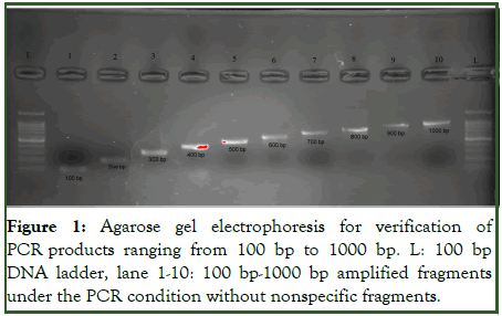 Pharmacogenomics-Pharmacoproteomics-Agarose