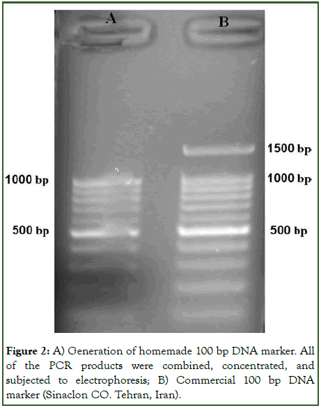 Pharmacogenomics-Pharmacoproteomics-Generation