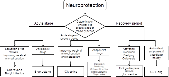Quality-Primary-Care-Neuroprotection