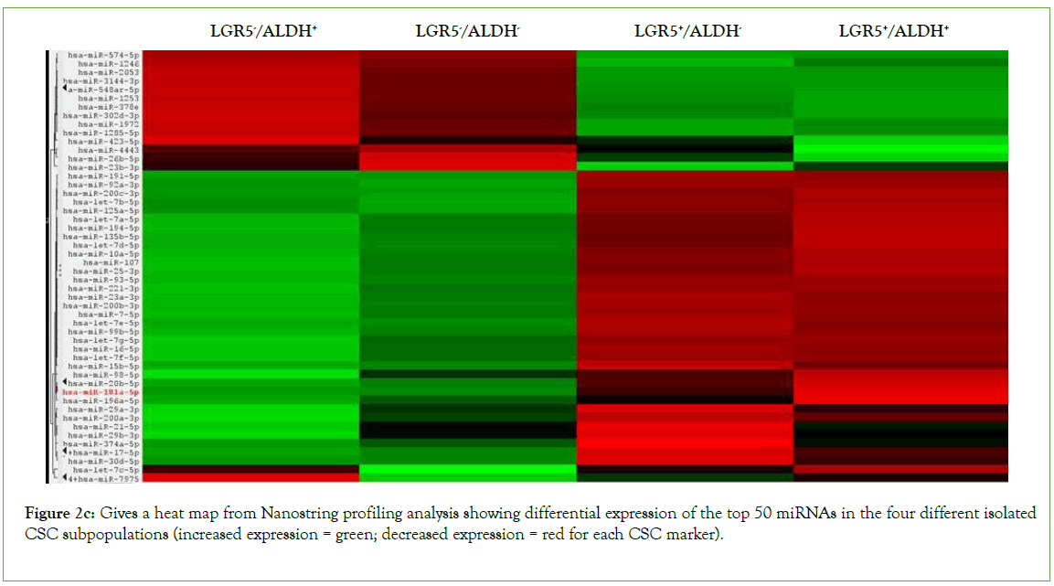 Stem-Cell-Nanostring