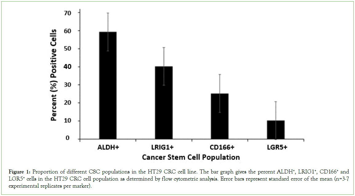 Stem-Cell-Proportion