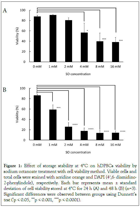 Stem-Cell-storage