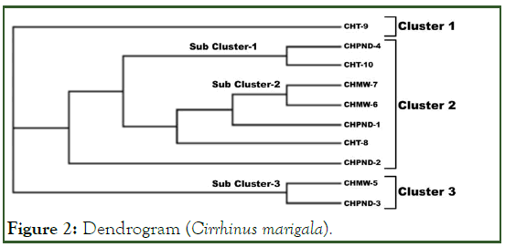 aquaculture-research-marigala