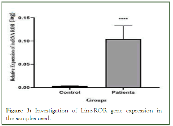 blm-gene