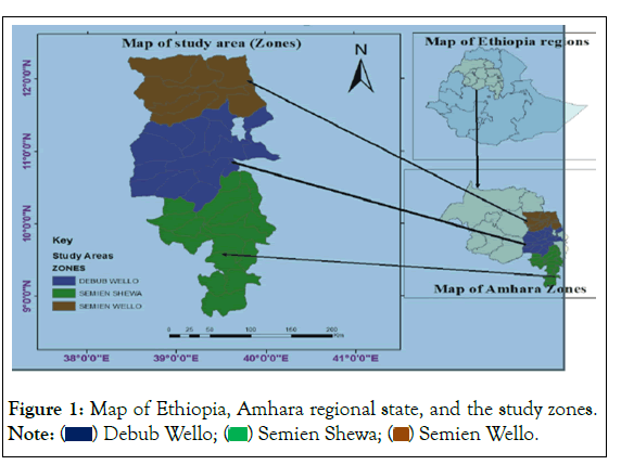 cellular-biology-area