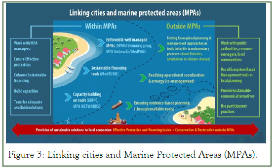 coastal-development-Linking