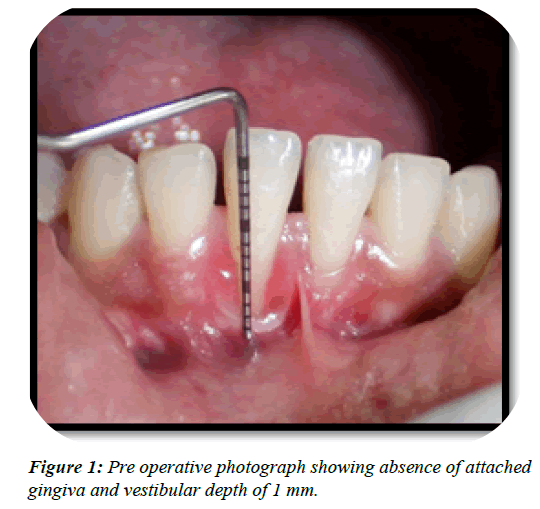 dental-management-absence