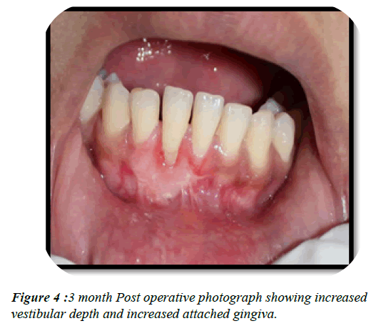 dental-management-increased