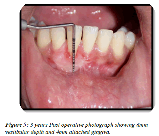dental-management-photograph