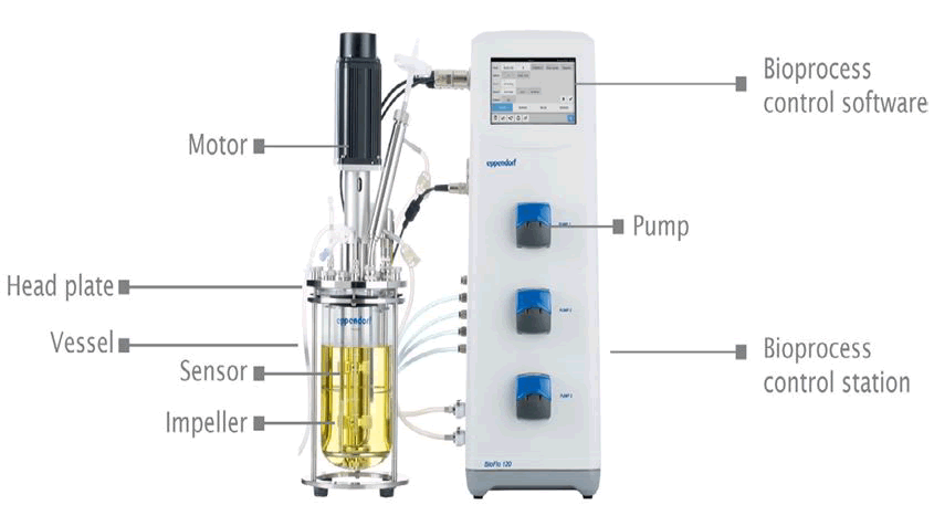 fermentation-technology-bioreactor