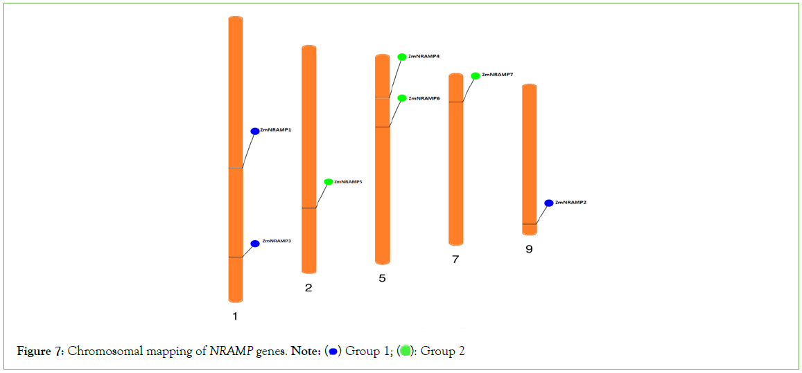 genomics-proteomics-Chromosomal
