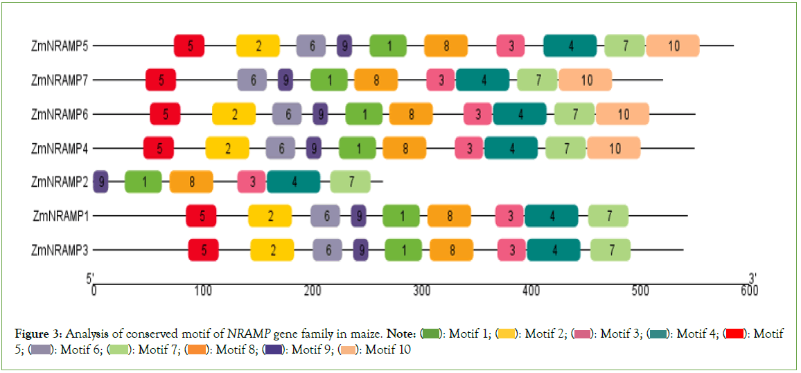 genomics-proteomics-conserved