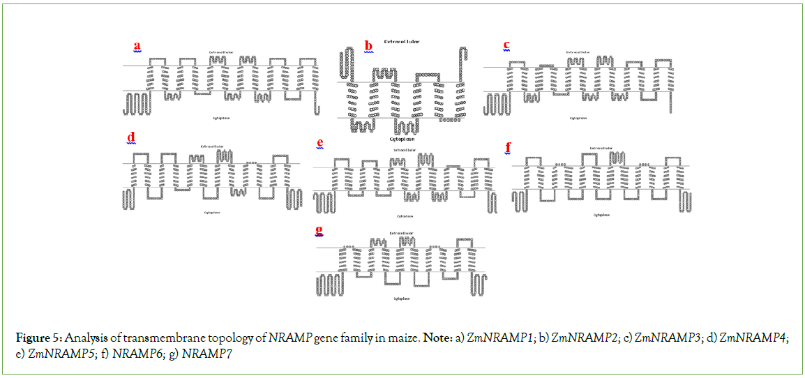 genomics-proteomics-family