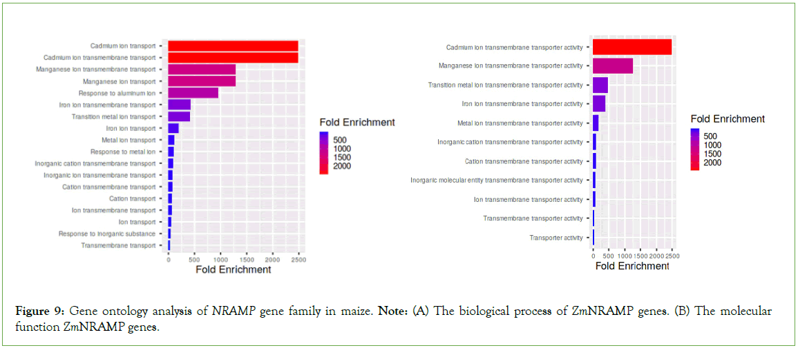 genomics-proteomics-ontology