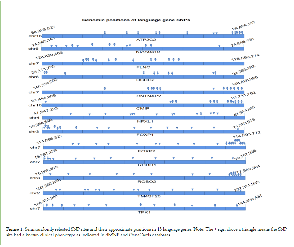 genomics-proteomics-phenotype