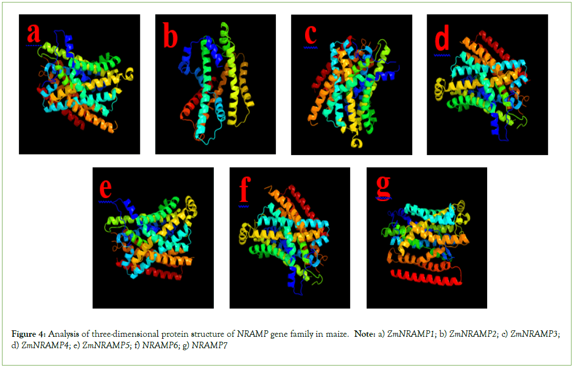 genomics-proteomics-structure