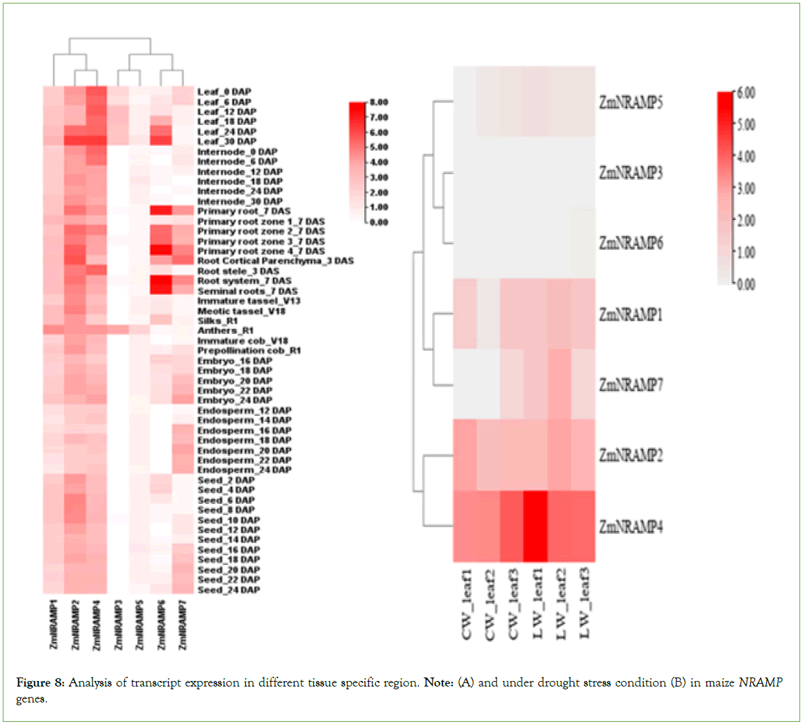 genomics-proteomics-transcript