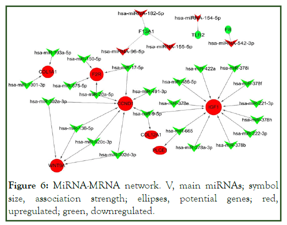 global-journal-association-strength