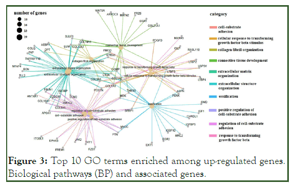 global-journal-enriched