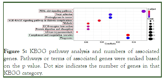 global-journal-pathway-analysis