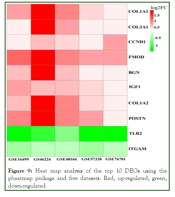 global-journal-pheatmap