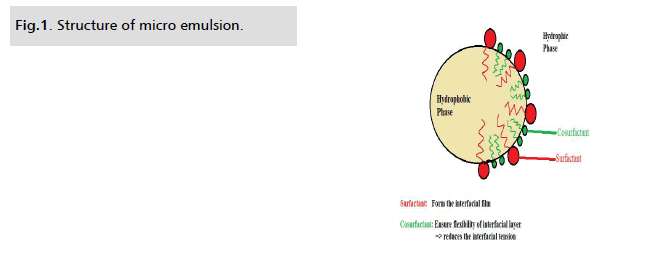 ijddr-Structure