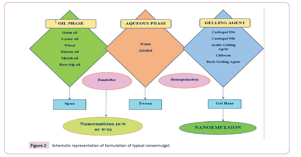 international-journal-formulation