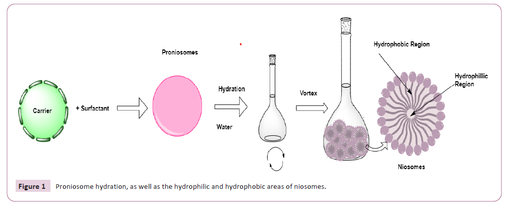 international-journal-hydration