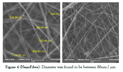 journal-nanomedicine-between