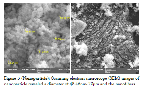 journal-nanomedicine-electron