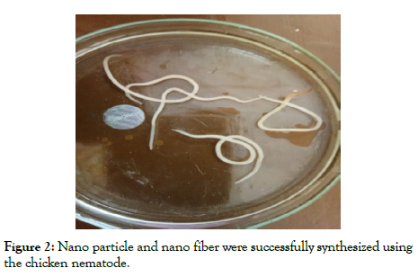 journal-nanomedicine-particle