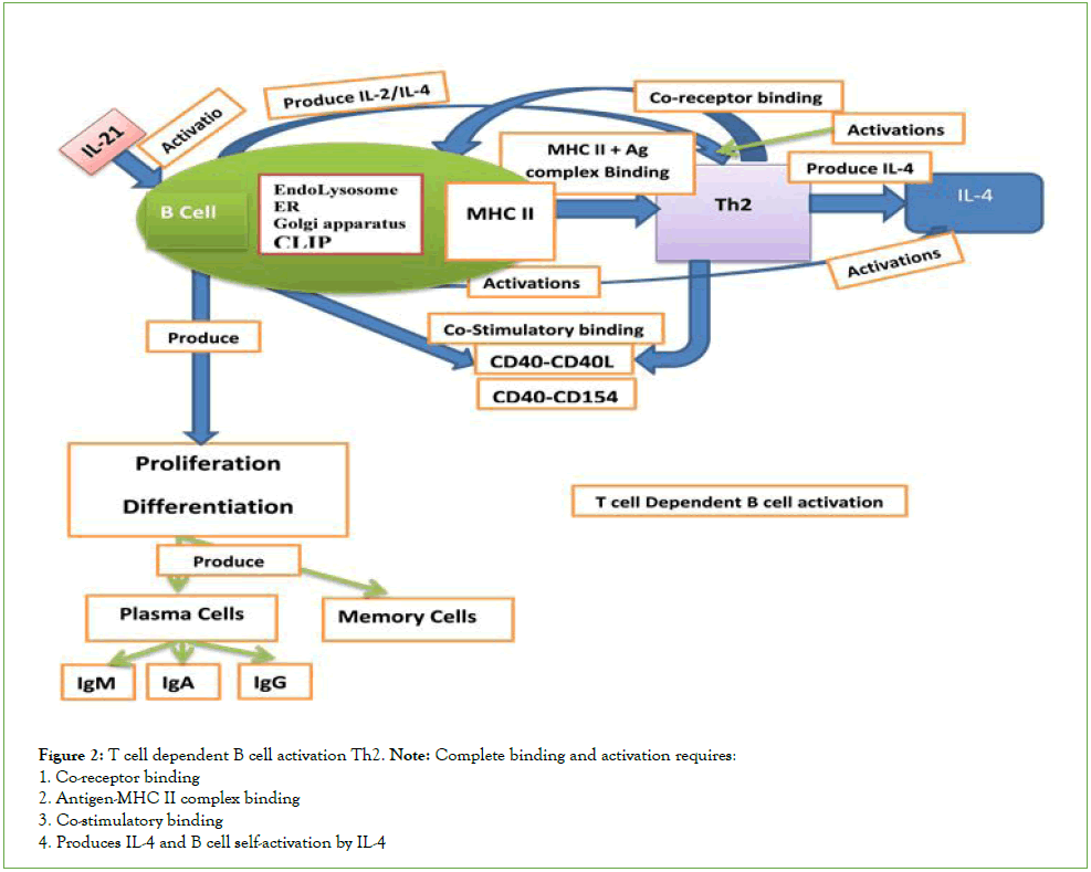 journal-vaccines-activation