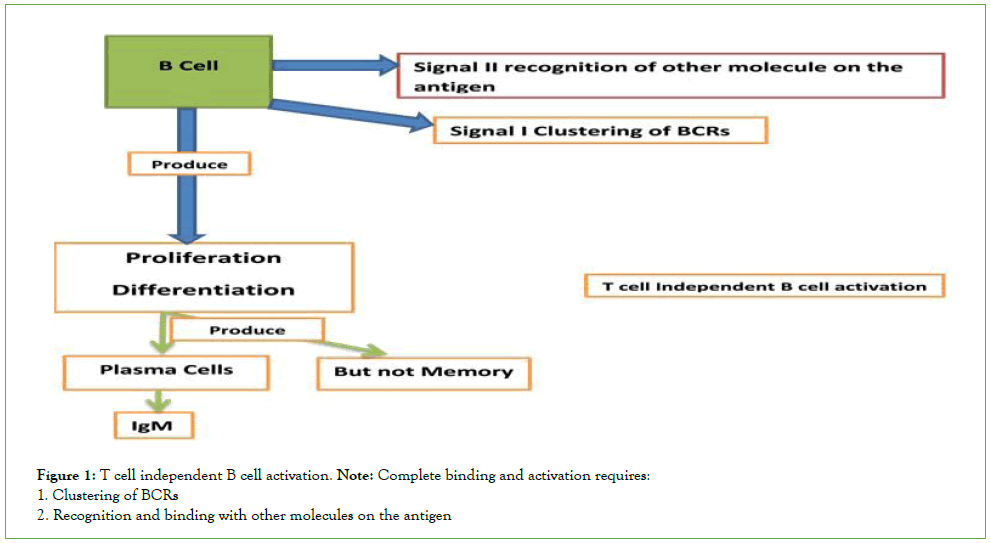 journal-vaccines-cell