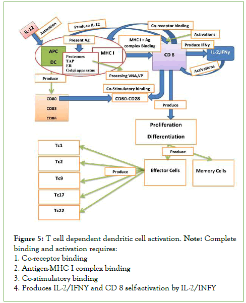 journal-vaccines-dendritic