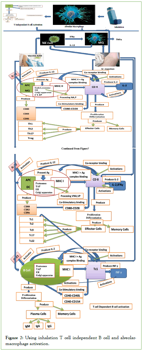 journal-vaccines-using