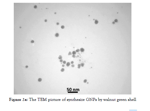 nanomedicine-nanotechnology-TEM