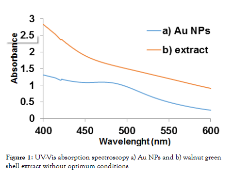 nanomedicine-nanotechnology-absorption