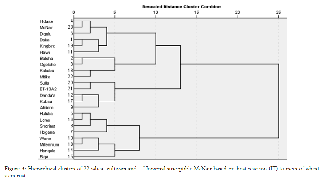 plant-microbiology-cultivars