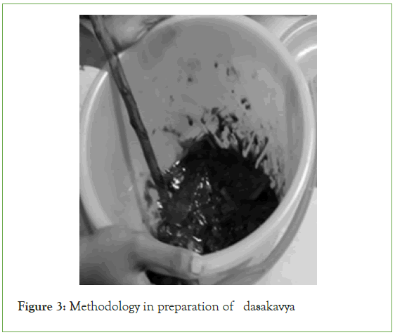 plant-microbiology-preparation