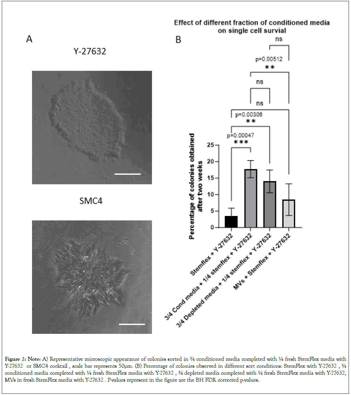 single-cell-microscopic