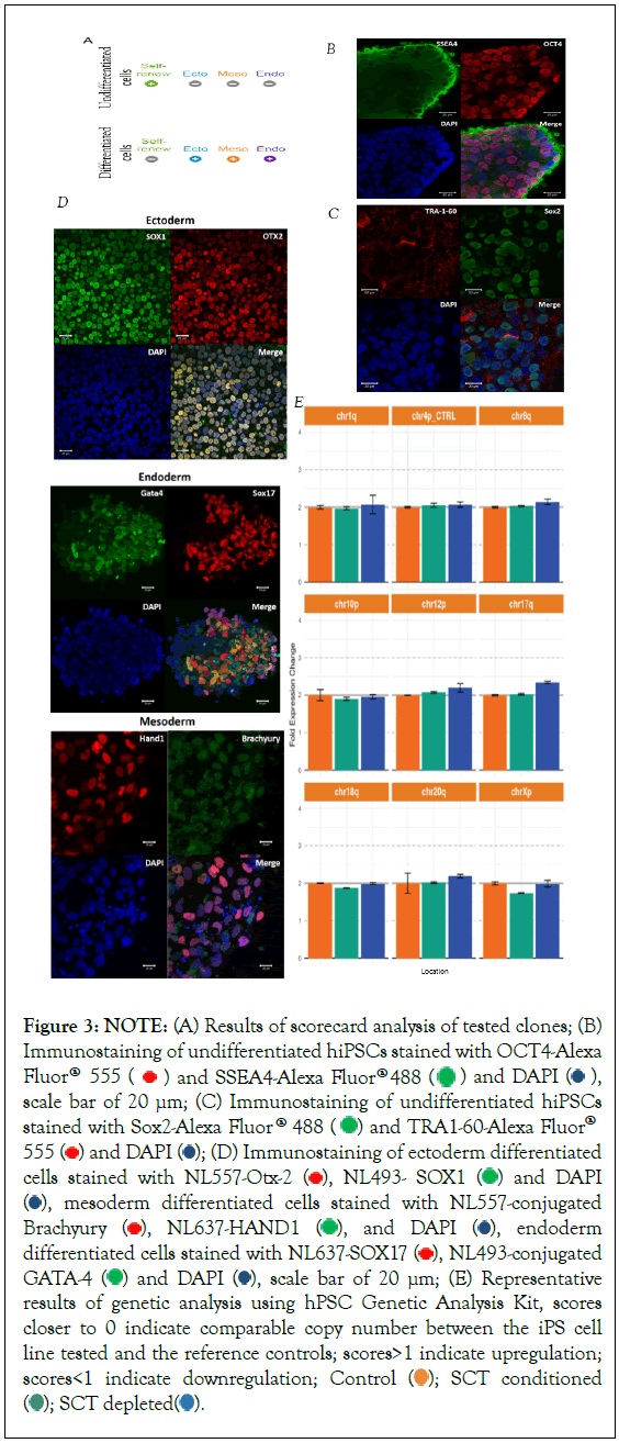 single-cell-stained